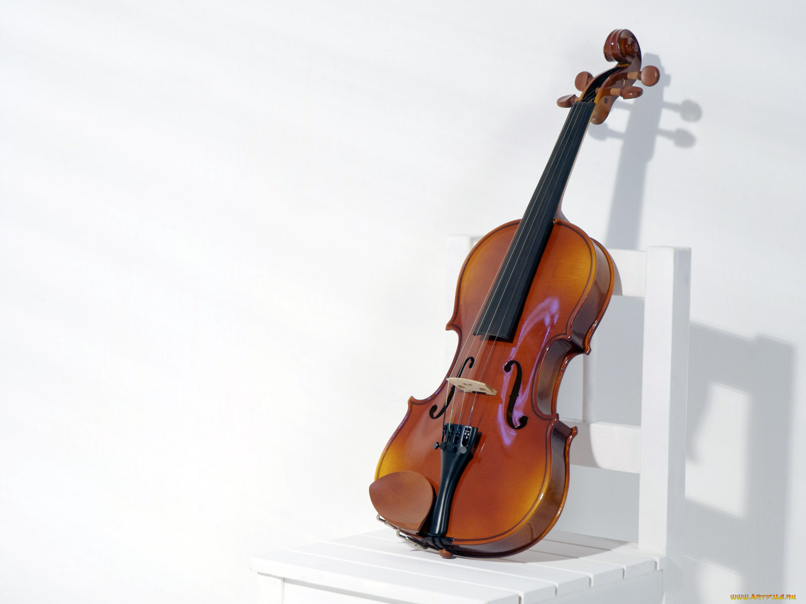 Violin cello. Скрипка музыкальный инструмент. Виолончель музыкальный инструмент. Скрипка фон. Красивая скрипка.